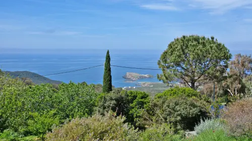 Villa Noelani